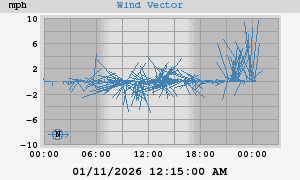 Wind Vector